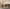 Ooni Volt 2 indoor electric pizza oven lifestyle photo