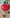 Promotion banner