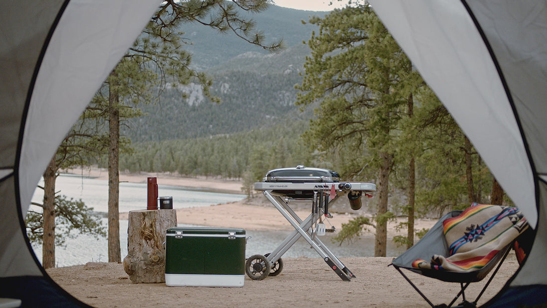 Weber Traveler Portable Gas Grill Video